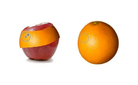 Kloonaus Omena