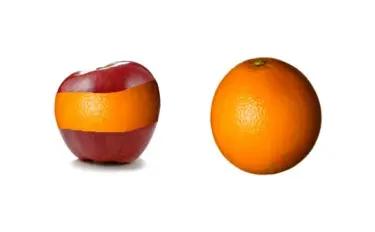 Kloonaus Omena valmis