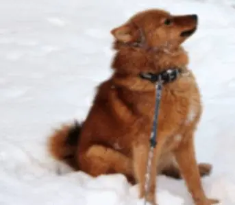 Jälkeen