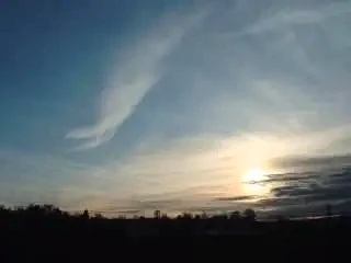 Mustavalkoinen