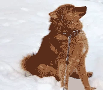 Jälkeen