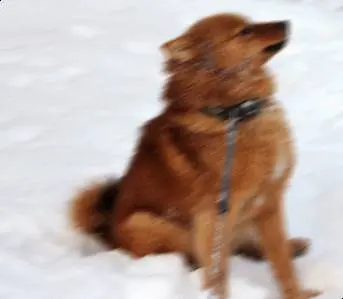 Jälkeen