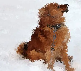 Jälkeen