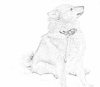 Jälkeen