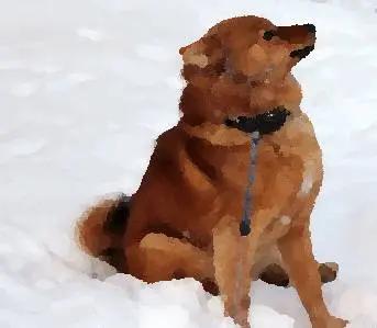 Jälkeen