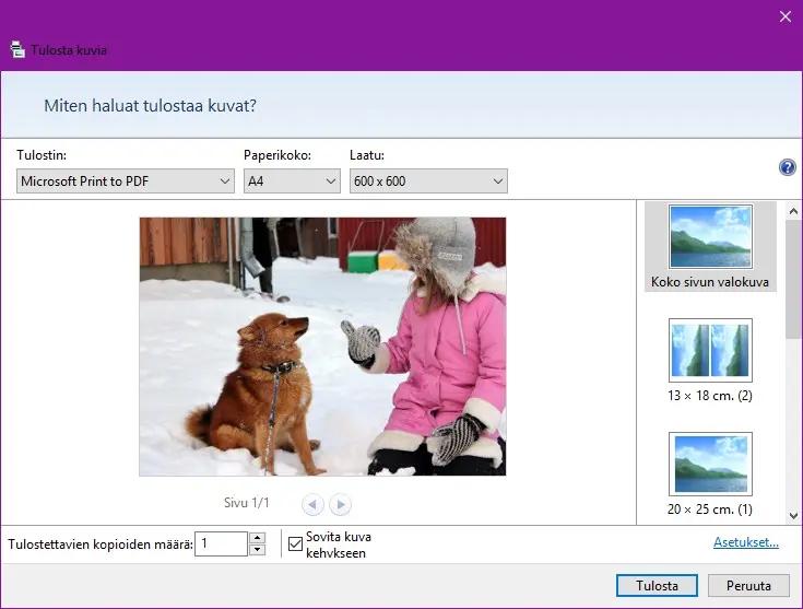 Tulostamisen avustaja