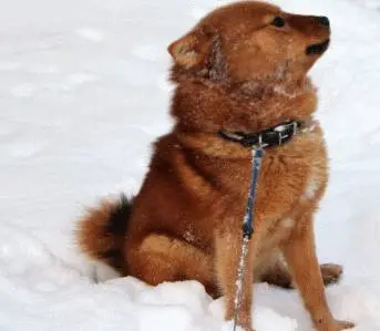 Jälkeen