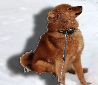 Jälkeen